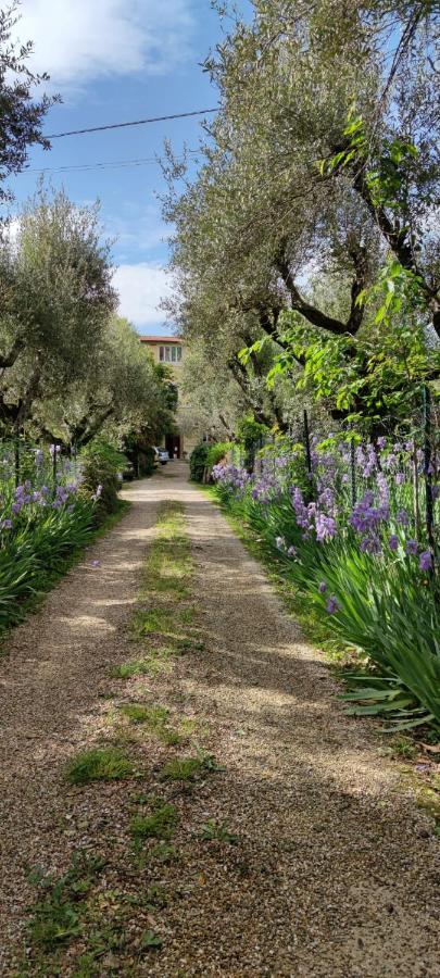 Agli Ippocastani Apartment Perugia Bagian luar foto